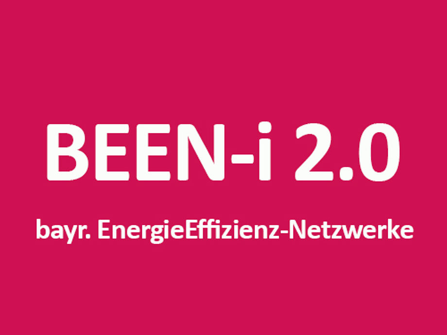 BEEN-i 2.0 wird auch in 2021 fortgeführt