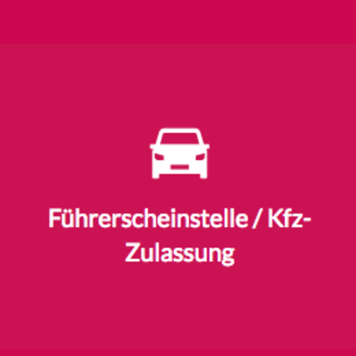 Führerschein / KFZ-Zulassung
